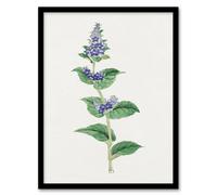 Artery8 Vintage Japan Botanical Framed Wall Art Print Gentian Flower in Pink | Size: A3 Artery8 Pink A3