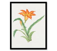 Artery8 Vintage Japan Botanical Framed Wall Art Print Orange Lily Flower in Pink | Size: A3 Artery8 Pink A3