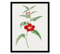 Artery8 Vintage Japan Botanical Framed Wall Art Print Pomegranate Flower in Green | Size: A4 Artery8 Green A4