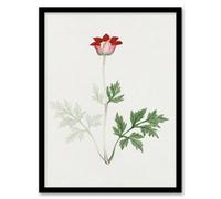 Artery8 Vintage Japan Botanical Framed Wall Art Print Red Bloom Flower | Size: A4 Artery8 Red A4