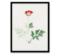 Artery8 Vintage Japan Botanical Framed Wall Art Print Red Bloom Flower | Size: A4 Artery8 Red A4