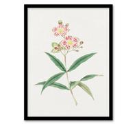 Artery8 Vintage Japan Botanical Framed Wall Art Print Red White Blossoms in Green | Size: A4 Artery8 Green A4