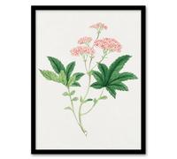 Artery8 Vintage Japan Botanical Framed Wall Art Print Shimotsuke Flower in Pink | Size: A3 Artery8 Pink A3