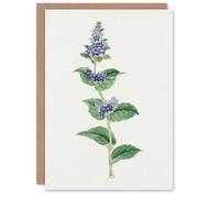 Artery8 Vintage Japanese Botanical Art Card Gentian Flower in Pink Artery8 Pink
