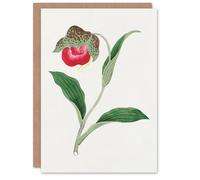 Artery8 Vintage Japanese Botanical Art Card Orchid Flower