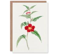 Artery8 Vintage Japanese Botanical Art Card Pomegranate Flower in Green Artery8 Green