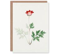 Artery8 Vintage Japanese Botanical Art Card Red Bloom Flower