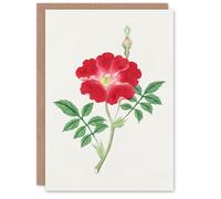 Artery8 Vintage Japanese Botanical Art Card Red Flower