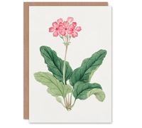 Artery8 Vintage Japanese Botanical Art Card Sakura Flower