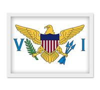 Artery8 Virgin Islands (U.S.) National Flag Patriotic Vexillology World Flags Country Region Poster Artwork Framed Wall Art Print A4