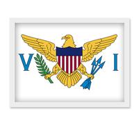 Artery8 Virgin Islands (U.S.) National Flag Vexillology World Flags Country Region Poster Artwork Framed Wall Art Print A4 in White Artery8 White