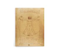 Artery8 Vitruvian Man Drawing da Vinci Vintage Canvas Wall Art in Brown | Size: W24" x H32" Artery8 Brown W24" x H32"