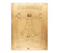 Artery8 Vitruvian Man Drawing da Vinci Vintage Wall Art Print Poster in Brown | Size: W12" x H16" Artery8 Brown W12" x H16"