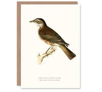 Artery8 Von Wright Brothers Art Card Redwing Bird Turdus Iliacus