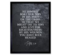 Artery8 Wall Art Print 1 Peter 2:24 He Himself Bore Our Sins Christian Bible Verse Quote Scripture Typography Art Framed in Black | Size: W12" x H16" Artery8 Black W12" x H16"