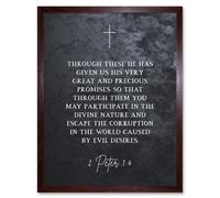 Artery8 Wall Art Print 2 Peter 1:4 He Has Given us Great & Precious Promises Escape Corruption Christian Bible Verse Quote Scripture Typography Art Artery8 Brown W12" x H16"