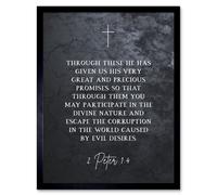 Artery8 Wall Art Print 2 Peter 1:4 He Has Given us Great & Precious Promises Escape Corruption Christian Bible Verse Quote Scripture Typography Art Artery8 Black W12" x H16"