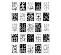 Wall Art Print 50 Pcs Botanical Aesthetic Haeckel Nature Black White Collage Kit s A6 Set Pack 15x10 cm (6x4") Bedroom Wall Home Bathroom Pictures Artery8 Black One Size