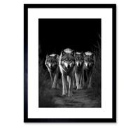 Artery8 Wall Art Print A Pack of Wolves Wild Animal Black & White Photo Artwork Framed 9X7 Inch | Size: W7" x H9" Artery8 Black W7" x H9"