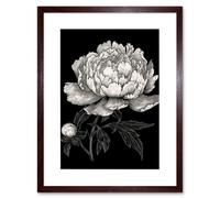 Artery8 Wall Art Print A Peony Flower Bloom Black & White Blind Contour Artwork Framed 9X7 Inch in Brown | Size: W7" x H9" Artery8 Brown W7" x H9"