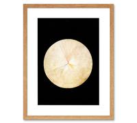 Artery8 Wall Art Print Abstract Circle Hilma Af Klint No 14 Swan Artwork Framed 9X7 Inch in Beige | Size: W7" x H9" Artery8 Beige W7" x H9"