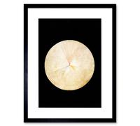 Artery8 Wall Art Print Abstract Circle Hilma Af Klint No 14 Swan Artwork Framed 9X7 Inch in Black | Size: W7" x H9" Artery8 Black W7" x H9"