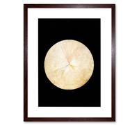 Artery8 Wall Art Print Abstract Circle Hilma Af Klint No 14 Swan Artwork Framed 9X7 Inch in Brown | Size: W7" x H9" Artery8 Brown W7" x H9"
