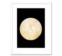 Artery8 Wall Art Print Abstract Circle Hilma Af Klint No 14 Swan Artwork Framed 9X7 Inch in White | Size: W7" x H9" Artery8 White W7" x H9"