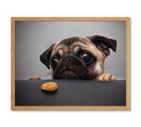 Artery8 Wall Art Print Animal Portrait Protograph Cute Pug Funny Pet Dog Looking at Bisquit Treat Picture Art Framed in Light Oak | Size: W12" x H16" Artery8 Light Oak W12" x H16"