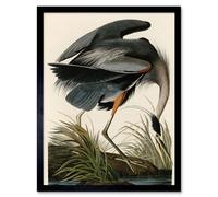 Artery8 Wall Art Print Audubon Birds of America Great Blue Heron Coastal Bird Portrait Art Framed in Beige | Size: W12" x H16" Artery8 Beige W12" x H16"
