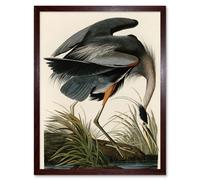 Artery8 Wall Art Print Audubon Birds of America Great Blue Heron Coastal Bird Portrait Art Framed in Brown | Size: W12" x H16" Artery8 Brown W12" x H16"