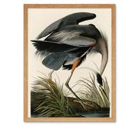 Artery8 Audubon Birds Great Blue Heron Painting Art Print Framed Poster Wall Decor 12x16 inch