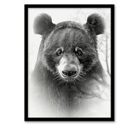 Artery8 Framed Wall Art Bear Portrait Pencil Drawing Animal Lover Realistic Poster - 12X16 Inch