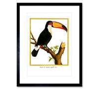 Artery8 Wall Art Print Bird Black Toucan Art Framed 9X7 Inch