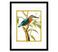 Artery8 Wall Art Print Bird Common Kingfisher Martin Pecheur Art Framed 9X7 Inch