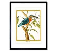 Artery8 Wall Art Print Bird Common Kingfisher Martin Pecheur Art Framed 9x7 inch in Black | Size: W7" x H9" Artery8 Black W7" x H9"