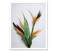 Artery8 Wall Art Print Bird of Paradise Stem Leaves & Flowers Tropical Plant Botanical Art Framed in White | Size: W12" x H16" Artery8 White W12" x H16"