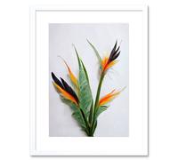 Artery8 Wall Art Print Bird of Paradise Stem Leaves & Flowers Tropical Plant Botanical Artwork Framed 9X7 Inch in White | Size: W7" x H9" Artery8 White W7" x H9"