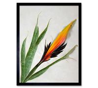 Artery8 Wall Art Print Bird of Paradise Tropical Plant Flower & Leaves on White Art Framed in Black | Size: W12" x H16" Artery8 Black W12" x H16"