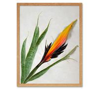 Artery8 Wall Art Print Bird of Paradise Tropical Plant Flower & Leaves on White Art Framed in Light Oak | Size: W12" x H16" Artery8 Light Oak W12" x H16"