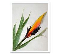 Artery8 Wall Art Print Bird of Paradise Tropical Plant Flower & Leaves on White Art Framed | Size: W12" x H16" Artery8 White W12" x H16"