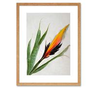 Artery8 Wall Art Print Bird of Paradise Tropical Plant Flower & Leaves on White Artwork Framed 9X7 Inch in Beige | Size: W7" x H9" Artery8 Beige W7" x H9"