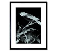 Artery8 Wall Art Print Birds Night Art Framed 9X7 Inch