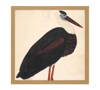 Artery8 Wall Art Print Black Stork In A Landscape Indian Watercolour Bird Painting Square Framed Picture 16X16 Inch in Light Oak | Size: W16" x H16" Artery8 Light Oak W16" x H16"