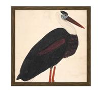 Artery8 Wall Art Print Black Stork In A Landscape Indian Watercolour Bird Painting Square Framed Picture 16X16 Inch in Brown | Size: W16" x H16" Artery8 Brown W16" x H16"