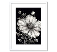 Artery8 Wall Art Print Black & White Cosmos Flower & Starry Night Sky Artwork Framed 9X7 Inch | Size: W7" x H9" Artery8 White W7" x H9"