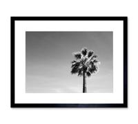 Wall Art Print Black and White Palm Tree Art Black Framed 9x7 inch Artery8 Black W7 inch x H9 inch
