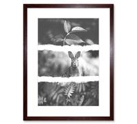Artery8 Wall Art Print Black White Photography Triptych Rabbit Hare Framed in Brown | Size: W7" x H9" Artery8 Brown W7" x H9"