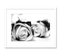 Artery8 Wall Art Print Black & White Roses Romance Art Black Framed 9x7 inch | Size: W7" x H9" Artery8 White W7" x H9"
