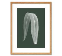 Artery8 Wall Art Print Botanics Hunter Folded Leaf Art Black Framed 9x7 inch in Beige | Size: W7" x H9" Artery8 Beige W7" x H9"